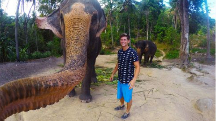 Moda selfie prinde la elefanţi: "Este perfect realizat"