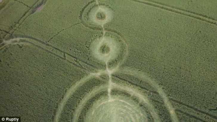 Cercuri misterioase au apărut peste noapte într-un lan de grâu din Rusia