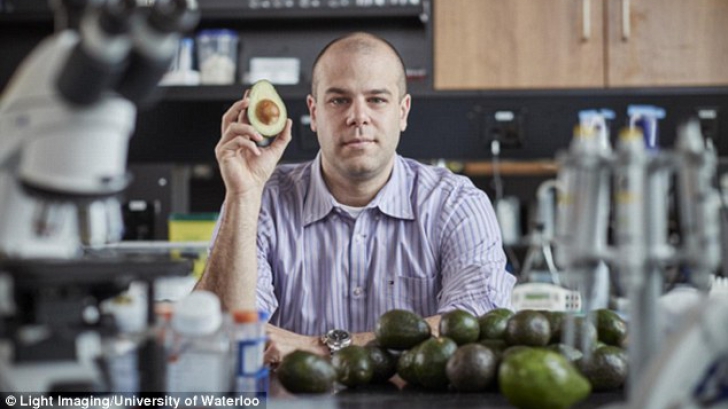 Cercetătorul Paul Spagnulo