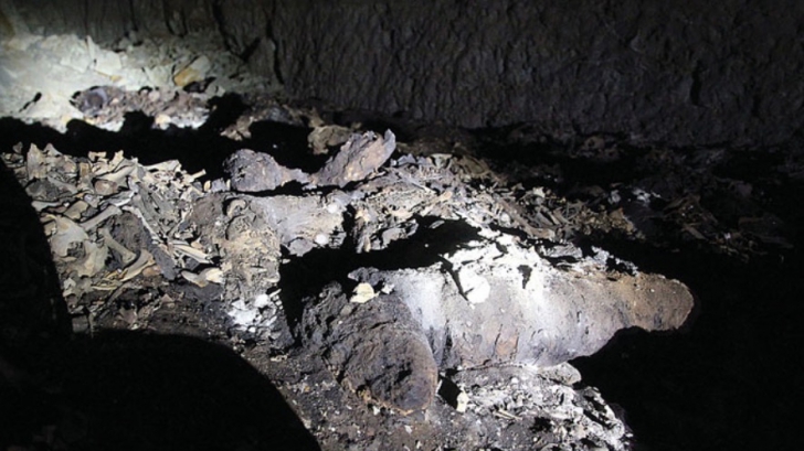 Descoperire teribilă într-un mormânt străvechi din Egipt. Sunt cu milioanele