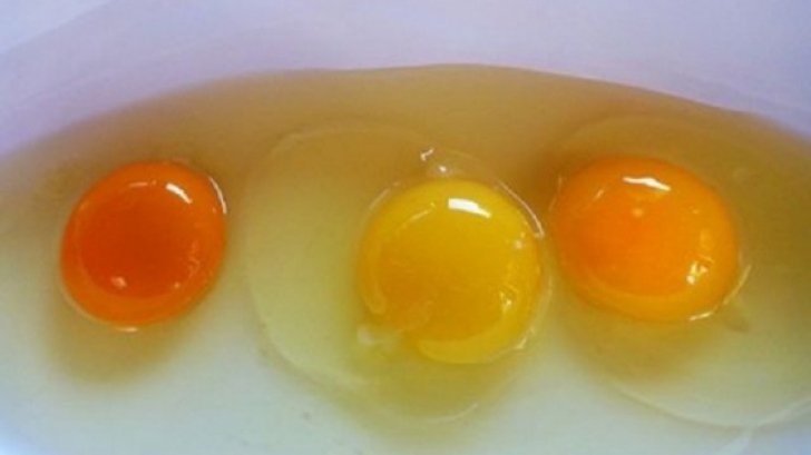 Care dintre cele 3 ouă credeți că provine de la o găină crescută sănătos? 