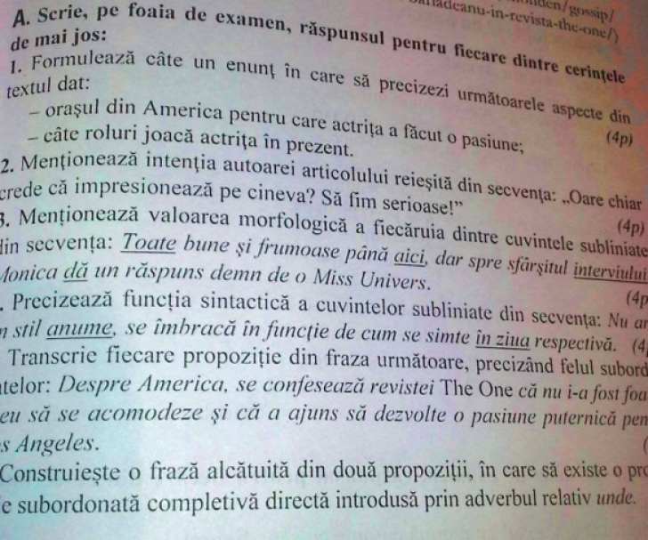 Evaluare Naţională 2015. Monica Bârlădeanu, subiect de examen