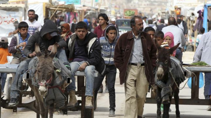 Norvegia va prelua 8 000 de refugiați sirieni, până la finalul lui 2017 