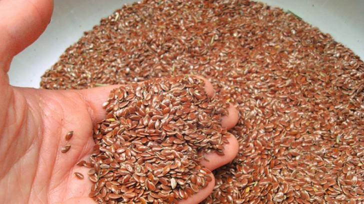 De ce e bine să consumi seminţe de in, apreciate de peste 4000 de ani 