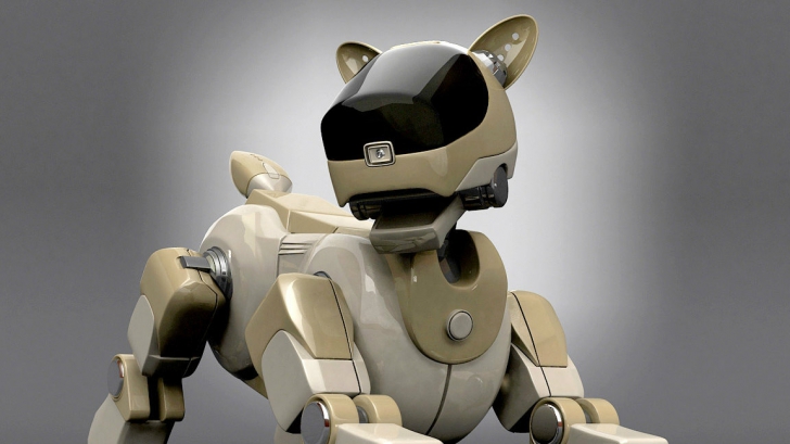 Singuri pe lume! Cum lasă în paragină Sony cei mai iubiți câini roboți!