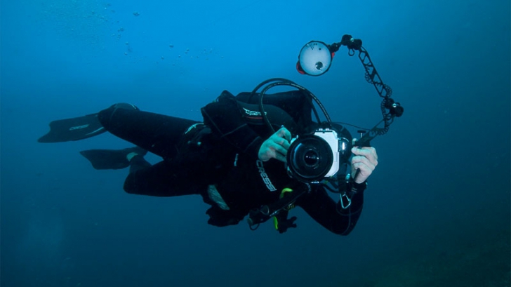 Doi fotografi români au descoperit o nouă specie subacvatică