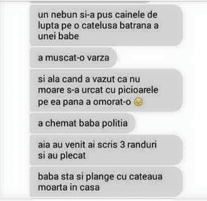 SCANDALOS! Un maniac din București a omorât în bătaie câinele vecinei, iar poliția nu a intervenit 