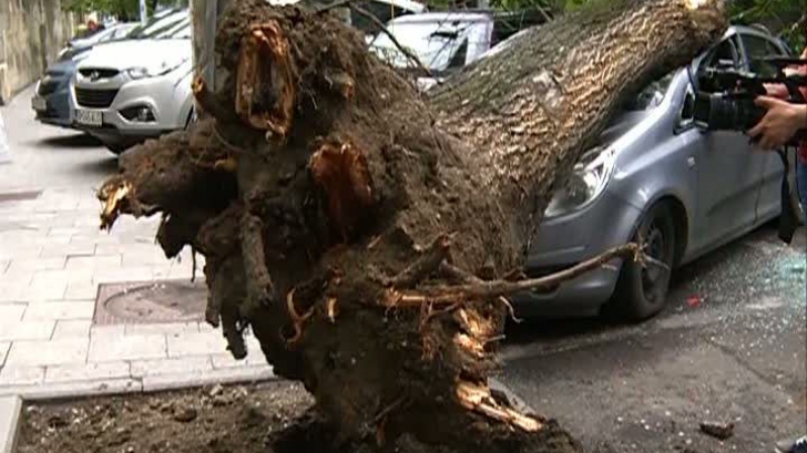 Vântul a făcut ravagii în municipiul Deva: maşini distruse, copaci prăbuşiţi / Foto: Arhiva