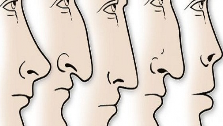 Ce spune forma nasului despre personalitatea ta? 