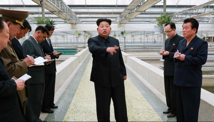 „Prințul” nord-coreean, transformat în „broască râioasă”, mai omoară un om nevinovat