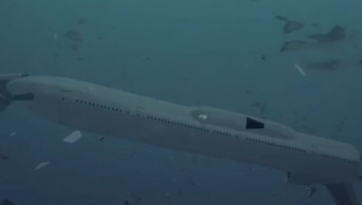 Un fragment de avion găsit pe o plajă a Insulei Reunion ar putea fi al cursei malaysiene dispărute