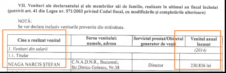 Directorul CNADNR câştigă de trei ori mai mult decât Iohannis! Neaga şi-a mărit singur salariul!