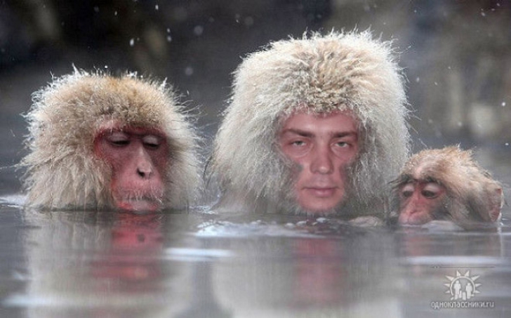 Fotografii halucinante modificate în Photoshop de pe reţelele de socializare din Rusia