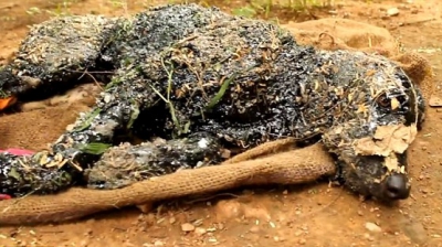 A crezut că e un cadavru pe marginea drumului. S-a apropiat şi a rămas &icirc;ngrozit! Mişca!