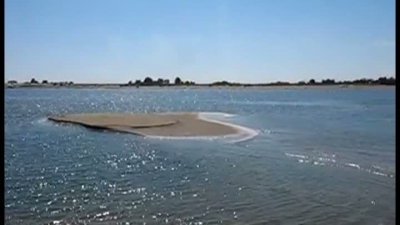 Fenomen neobișnuit: noi insule, temporare, au apărut pe Dunăre din cauza secetei