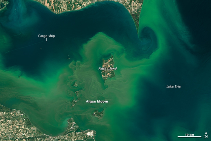 FOTOGRAFIILE ZILEI, capturate de NASA: explozie de alge în lacul Erie