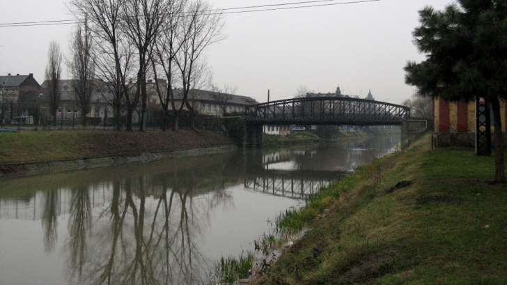 Râul Bega, Timişoara