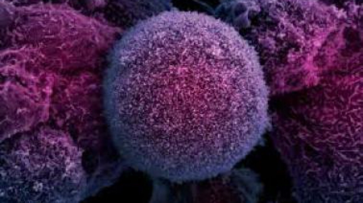 Descoperirea care oferă o nouă rază de speranţă bolnavilor de cancer. Ce au reușit savanții din SUA 