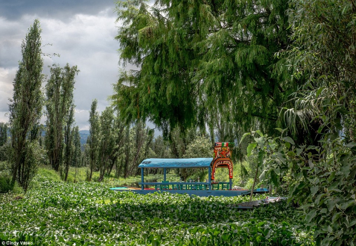 Insula păpușilor din Mexic