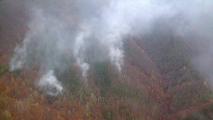 Incendiu la o pădure de conifere din Retezat. Circa șase hectare au fost deja distruse 