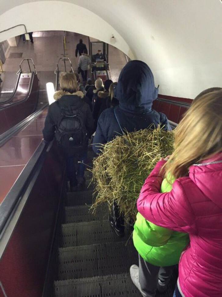 Cei mai ciudaţi oameni de la metrou. Nebunia lor nu are limite