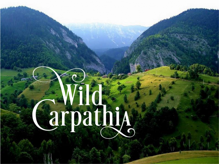 Wild Carpathia, în impas. Echipa documentarelor cere ajutorul românilor pentru a promova România
