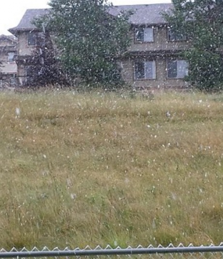 Zăpadă în toiul verii! Fenomenul bizar care-i pune pe gânduri pe meteorologi. A nins ca-n poveşti! / Foto: Daily Mail