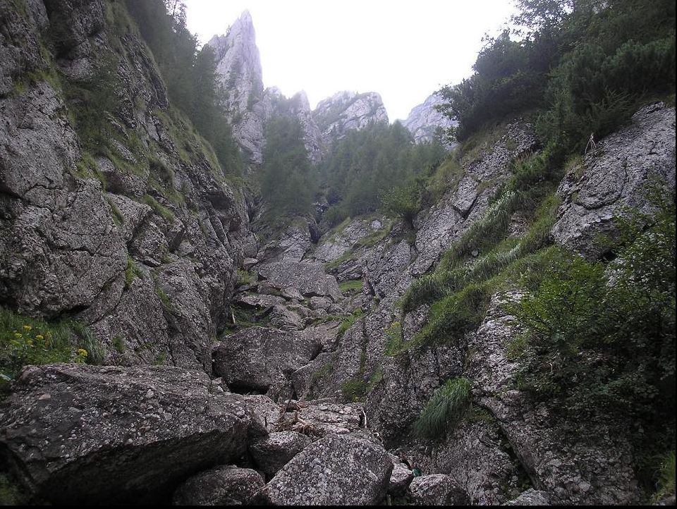 Tragedie în munții Bucegi: Cine era tânăra atacată MORTAL de urs. Precizările Salvamont