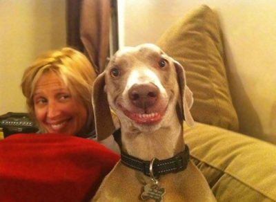 GALERIE FOTO. Cei mai fericiţi câini din lume. Au un zâmbet de milioane