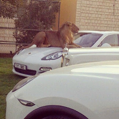   GALERIE FOTO. Cum trăiesc bogaţii din Dubai. Sunt oficial cei mai extravaganţi oameni din lume