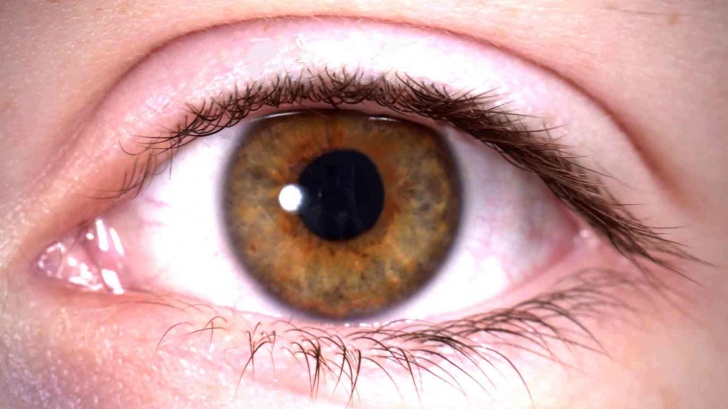 20 lucruri incredibile despre ochi