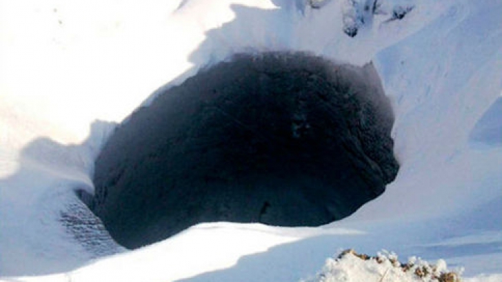 Descoperire neașteptată în solul înghețat din Siberia: "Este gigant"
