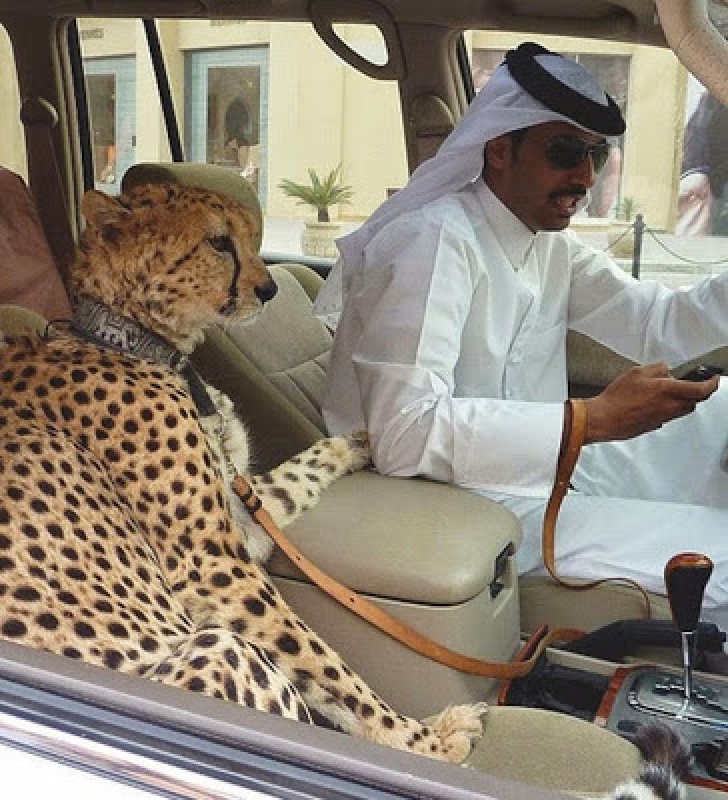   GALERIE FOTO. Cum trăiesc bogaţii din Dubai. Sunt oficial cei mai extravaganţi oameni din lume