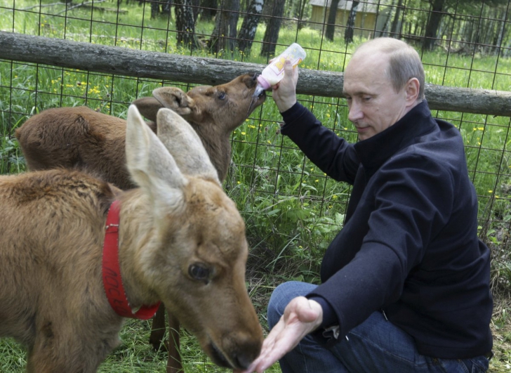 GALERIE FOTO. Cele mai extravagante fotografii cu Vladimir Putin