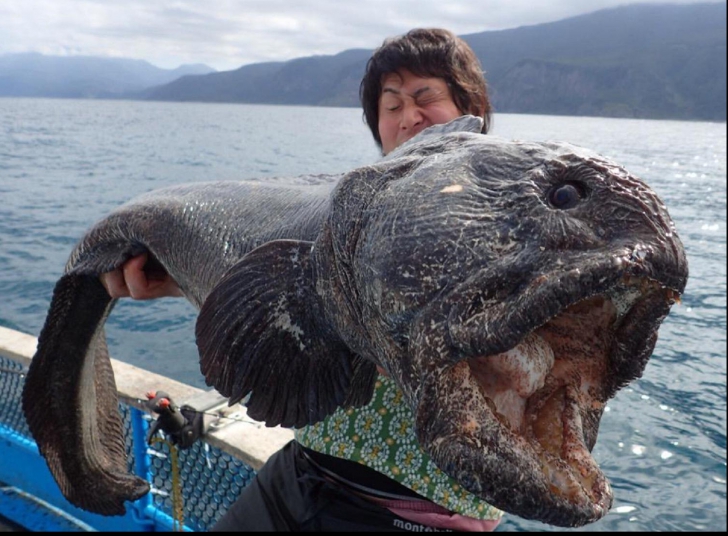 Cum arată monstrul prins de un pescar lângă centrala nucleară de la Fukushima. Te va îngrozi!