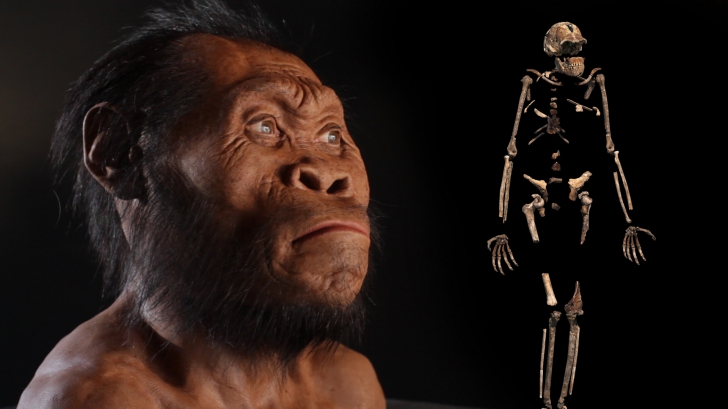 Homo naledi spulberă teoria extratereştrilor antici! O descoperire fabuloasă face senzaţie!