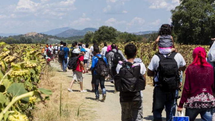 Criza imigranților. Austria a trimis peste 5.000 migranți în alte state europene. România, vizată