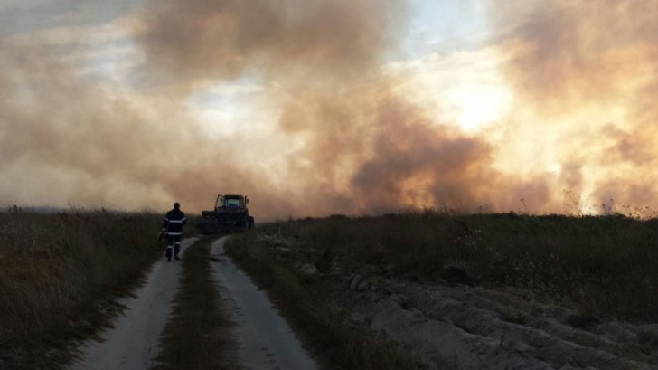 Incendiu violent la Vadu. Cherhanaua și zeci de hectare de vegetație au ars