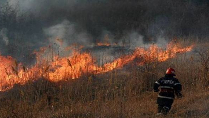  Incendiu de proporţii. Zeci de hectare cultivate, distruse de foc, în vestul ţării