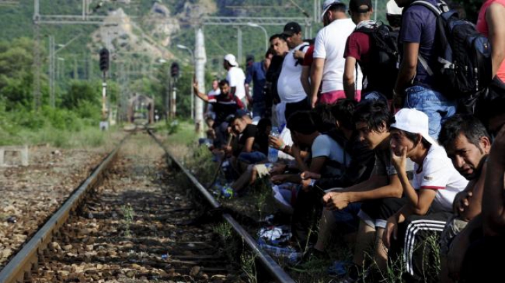 Criza imigranților. Serbia trimite întăriri la graniță 