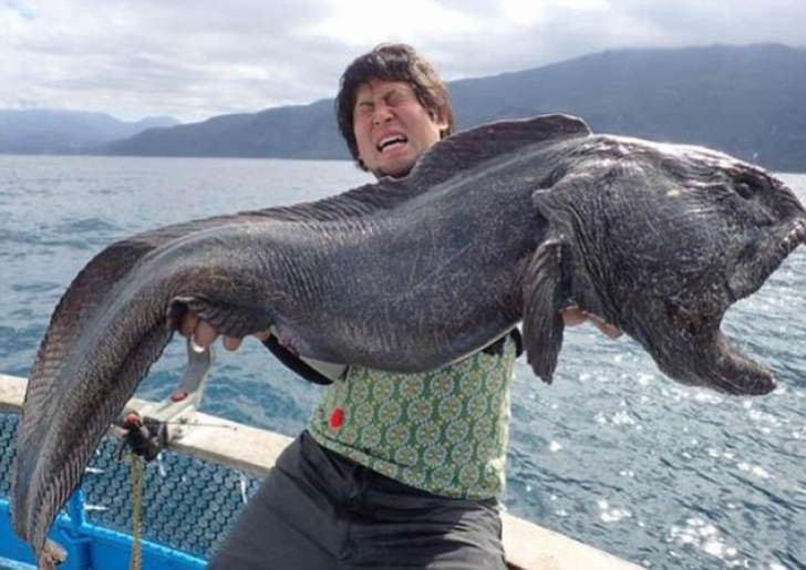 Monstrul prins de un pescar lângă centrala nucleară Fukushima: Nu am mai văzut așa ceva
