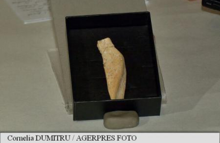 "Descoperire senzaţională" făcută de arheologii români: o statuetă veche de 23.000 de ani