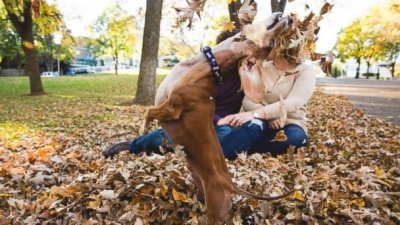 Cele mai amuzante fotografii de la o logodnă. Cum a "furat" câinele celor doi toată atenţia