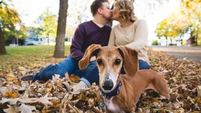 Cele mai amuzante fotografii de la o logodnă. Cum a "furat" câinele celor doi toată atenţia