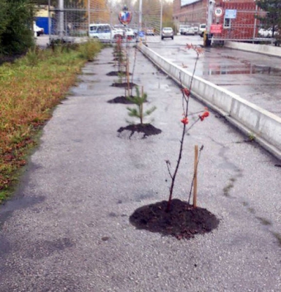 Ruşii lovesc din nou. Fotografii alese care te fac râzi cu lacrimi 