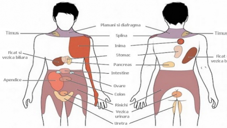 splina a crescut durerea articulară
