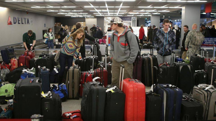 Vameșii care au deschis o valiză la aeroport nu se așteptau la o așa surpriză șocantă