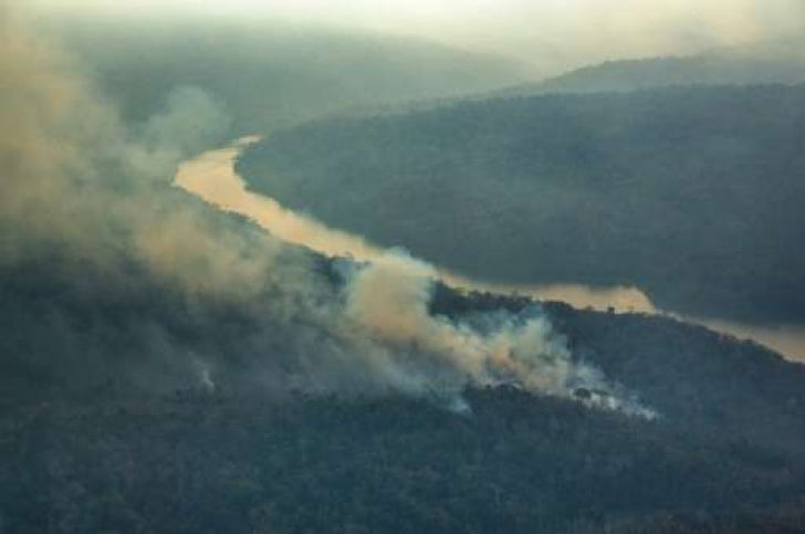 Incendiu de proporții în Brazilia! Focul a pârjolit suprafețe mari de pădure