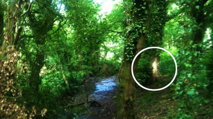 A făcut o poză într-o pădure, dar ce a apărut în imagine a terifiat-o. "Se vede foarte clar"