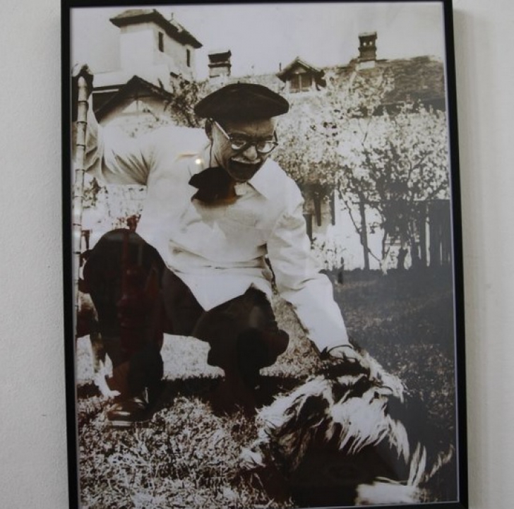 Povestea lui Zdreanţă, cel cu ochii de faianţă. Cum arăta câinele lui Arghezi şi unde este îngropat / Foto: adevarul.ro
